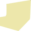 ISSUNTEX 6X9 ft/1.8X2.7 Meters Beige Background Photo Backdrop, Photo Studio, Collapsible High Density Screen for Video Photography and Television