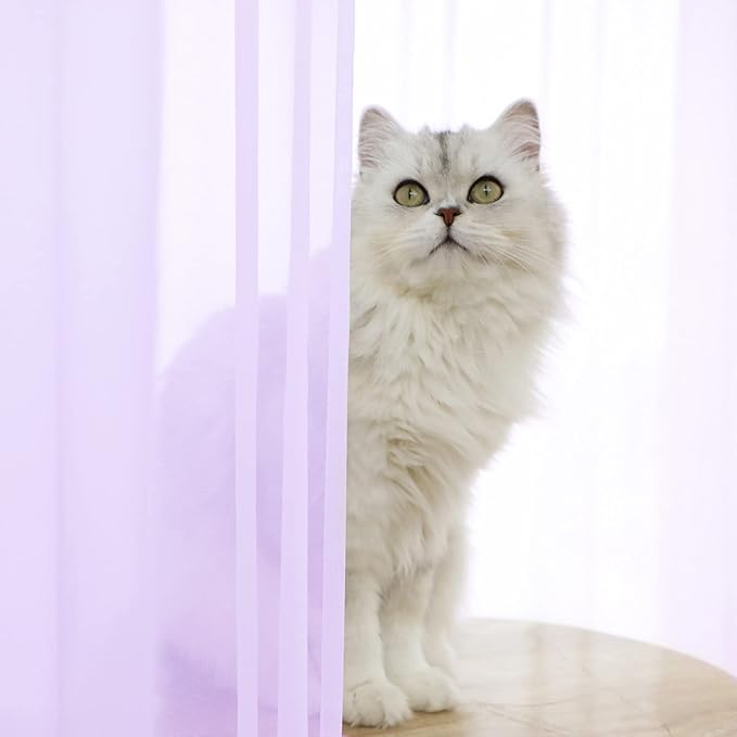 Window Purple Sheer Curtains 48 Inches Width 108 Inches Long 2 Panels Sheer Curtain Clear Curtains Basic Rod Pocket Panel for Home Living Room Bedroom Kids Room Yard Patio Parlor Sliding