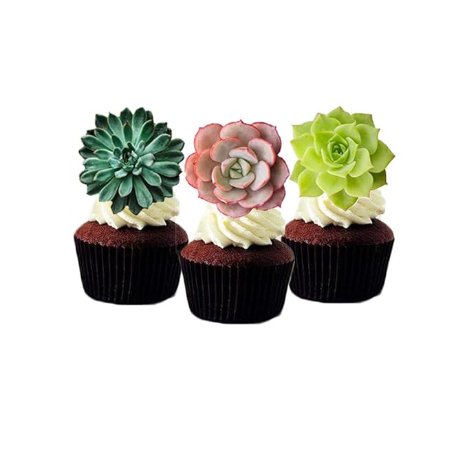 24pcs Edible Cupcake toppers Succulents Hawaiian Party Cake Summer Decoration,Not 3D …