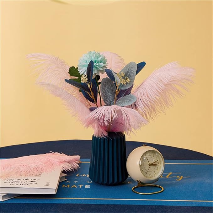 NEWONG 30pcs Light Pink Ostrich Feathers Natural Bulk 9-12inch(23-30cm) Vase Craft Wedding Home Party Centerpieces Christmas Day coquettish Valentine's Day Decoration