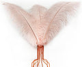 Happy Feather 16-18 inch Purple Ostrich Feathers Craft for Wedding Party Centerpieces Home Decoration DIY Craft Pack of 10-Champagne