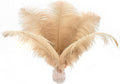 Ballinger Champagne Ostrich Feathers Bulk - 24pcs 10-12inch Boho Feathers for vase and Home Decor Wedding Party Centerpieces