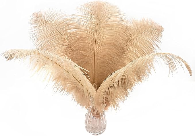 Ballinger Champagne Large Ostrich Feathers - 12Pcs 14-16inch Large Boho Feathers for Vase,Wedding Party Centerpieces and Holiday Home Decor