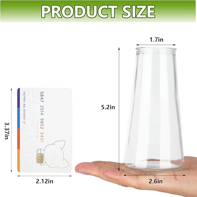 Glass Bud Vases for Centerpieces, Small Flower Vase in Bulk Set of 20, Modern Clear Mini VaseS for Rose Tulip, Wedding Party Dining Table Decor
