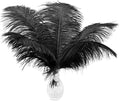 Ballinger Black Large Ostrich Feathers - 12Pcs 14-16inch Large Feathers for Vase, Wedding Party Centerpieces and Halloween Home Decor