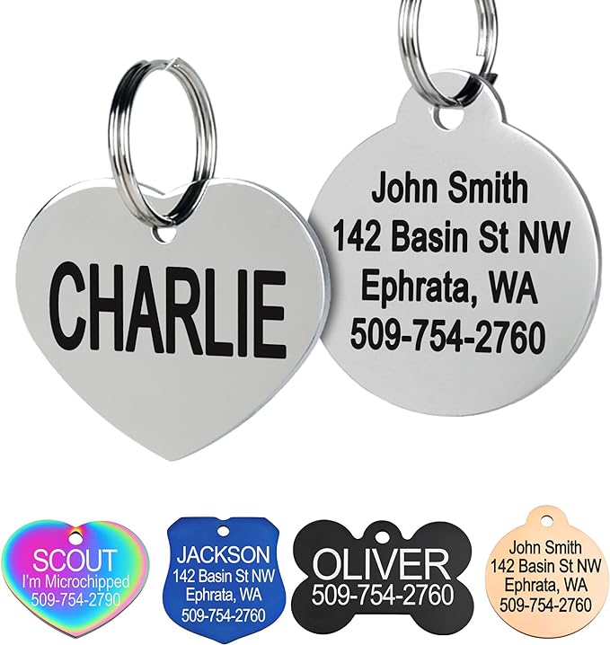 GoTags Stainless Steel Pet ID Tags, Personalized Dog Tags and Cat Tags, up to 8 Lines of Custom Text, Engraved on Both Sides, in Bone, Round, Heart, Bowtie and More (Heart, Regular (Pack of 1))