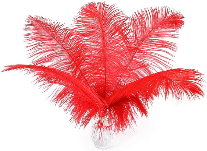 Ballinger Red Large Ostrich Feathers - 12Pcs 14-16inch Large Feathers for Vase,Wedding Party Centerpieces and Home Decor