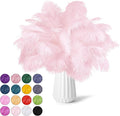 NEWONG 30pcs Light Pink Ostrich Feathers Natural Bulk 9-12inch(23-30cm) Vase Craft Wedding Home Party Centerpieces Christmas Day coquettish Valentine's Day Decoration