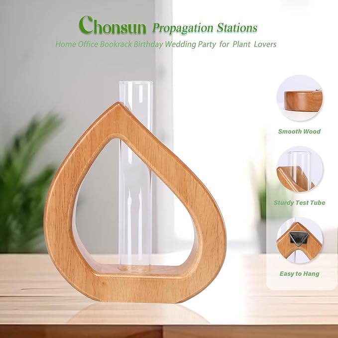 Propagation Stations Planter Terrariums Wall Hanging Test Tube Desk Decorations with Wooden Stand Plant Terrarium Office Decor Gifts for Plant Lover Gifts