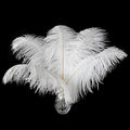 24pcs Natural White Ostrich Feathers 10-12inch (25-30cm) for Wedding Party Centerpieces，Flower Arrangement and Home Decoration.