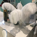 Sowder 16-18inch(40-45cm) Ostrich Feathers Plume for Wedding Centerpieces Home Decoration Pack of 10pcs (White)