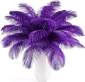 THARAHT Purple Ostrich Feathers 12pcs Natural Bulk 8-10Inch 20cm-25cm for Crafts Wedding Party Centerpieces Halloween and Home Decoration Feather