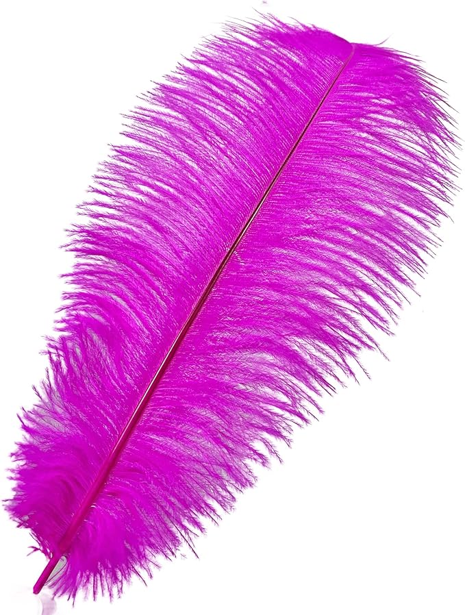 Happy Feather 16-18 inch Fuchisa Ostrich Feathers Craft for Wedding Party Centerpieces Home Decoration DIY Craft Pack of 10