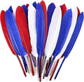 FeelfunFeather 120pcs Colorful Feathers Natural Bulk, 4-6 inch 10-15cm Red Blue White Goose Cochettes Feather for Wedding Party Christmas Halloween Decorations DIY Crafts