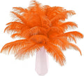 THARAHT Orange Ostrich Feathers 12pcs Natural Bulk 8-10Inch 20cm-25cm for Crafts Wedding Party Centerpieces Halloween and Home Decoration Feathers