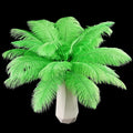 THARAHT Green Ostrich Feathers 12pcs Natural Bulk 8-10Inch 20cm-25cm for Crafts Wedding Party Centerpieces Mardi Gras and Home Decoration Feathers