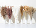 135Pcs Dried Pampas Grass Decor, Boho Home Decor, Mini Bunny Tails Dried Flowers, Fluffy Pompous Grass Bouquet Bulk for Wedding, Table, Rustic Party, Baby Shower Decorations